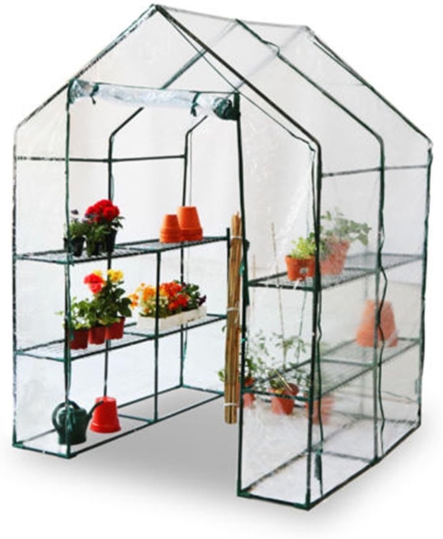 4x8 Walk-In Greenhouse Clear PVC Cover Steel Frame Roll-Up Door Plant Shelter