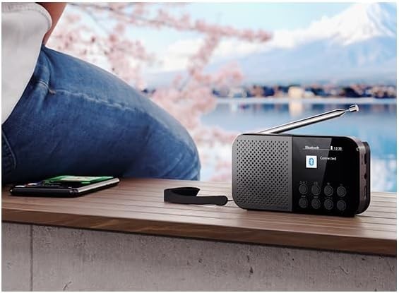Portable Pocket DAB+/FM Digital Radio Bluetooth 5.3 USB-C Storm Grey