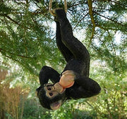 Hanging Climbing Monkey Garden Ornament Resin Statue Outdoor Tree Decor 70cm