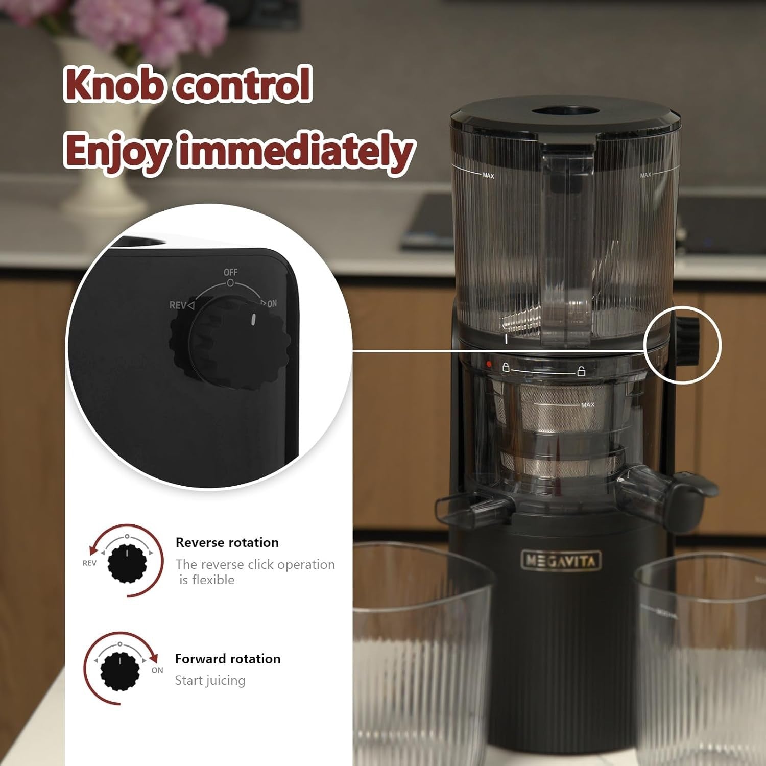 Cold Press Juicer Whole Fruit Slow Masticating High Yield Auto Reverse