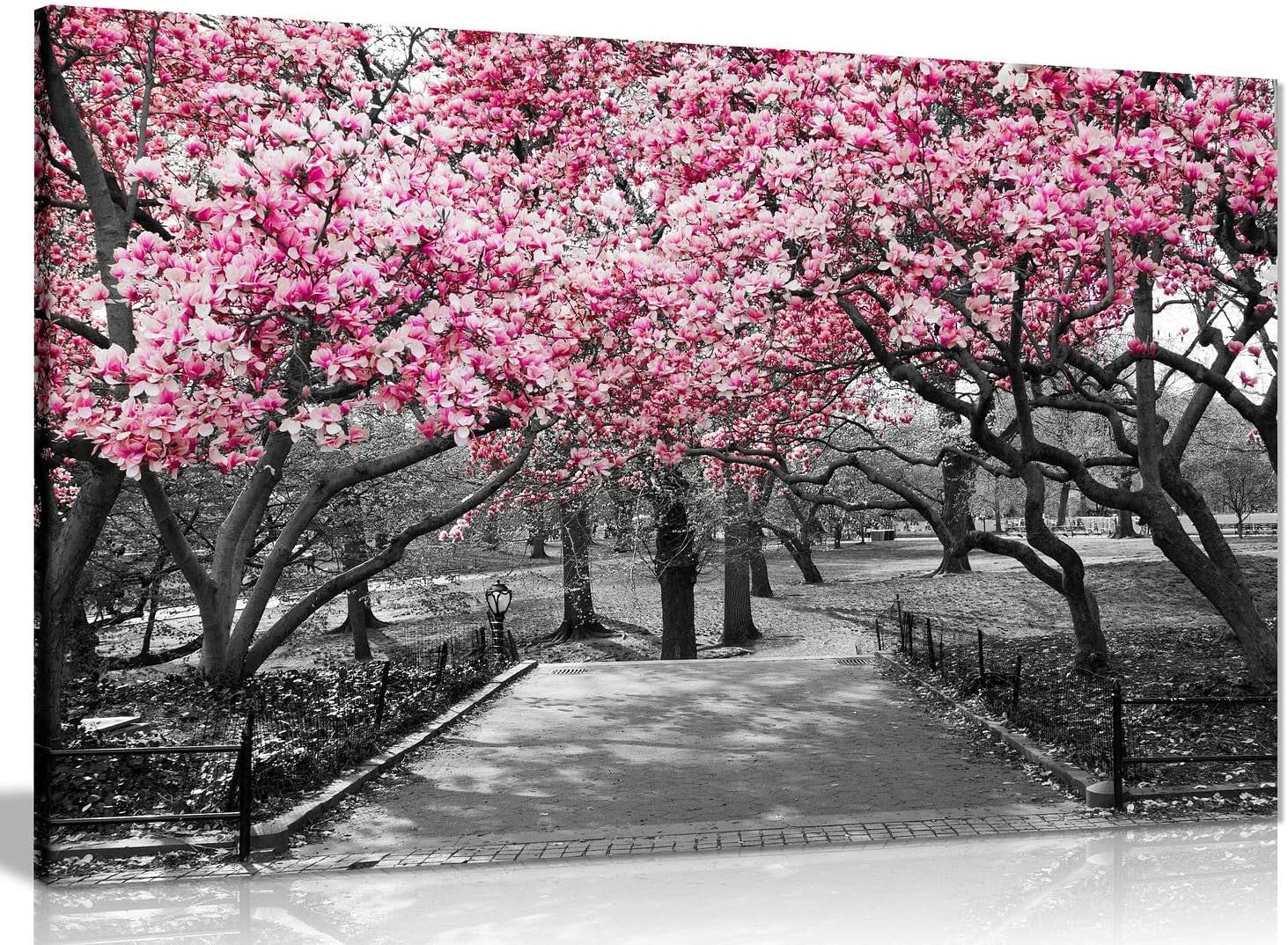 Black White Pink Blossom Canvas Wall Art Small Modern Home Decor