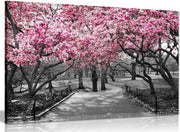 Black White Pink Blossom Canvas Wall Art Small Modern Home Decor