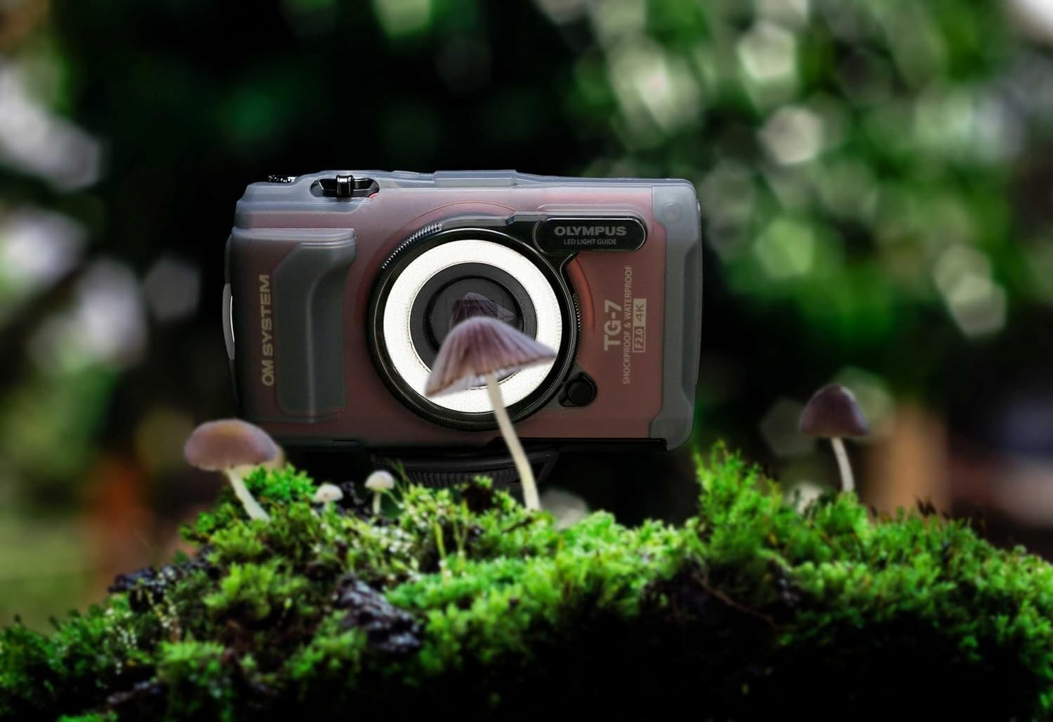 Waterproof 4K Digital Camera 12MP Shockproof Underwater Black