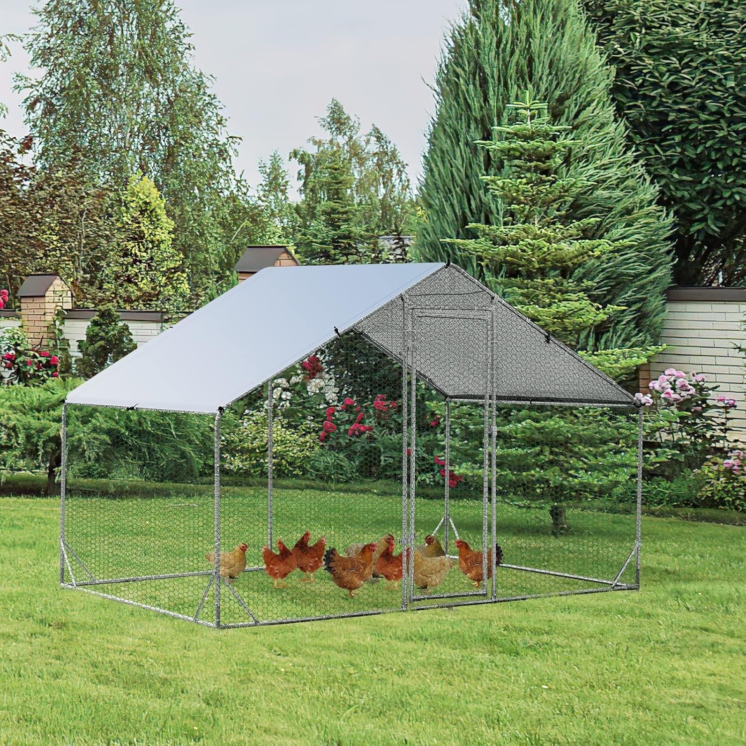 Walk In Chicken Run Galvanised Steel Enclosure Waterproof Roof 3x2m