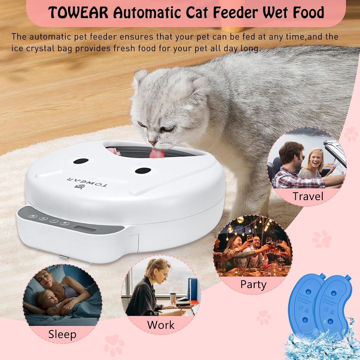 Automatic Pet Feeder Timer 4 Meal Wet Dry Food Dispenser Ice Packs