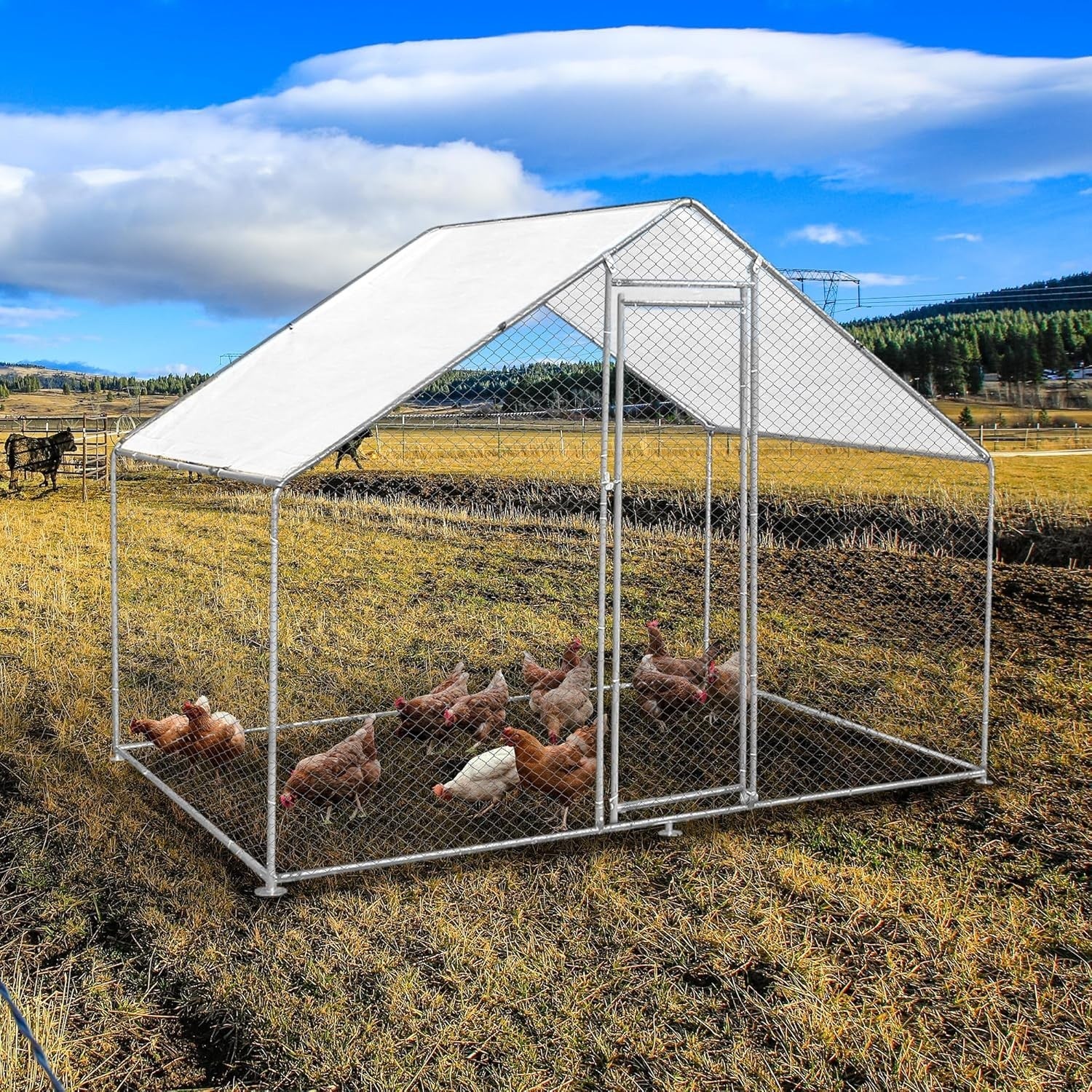 Walk In Chicken Run 3x2x2m Galvanised Steel Coop Pen