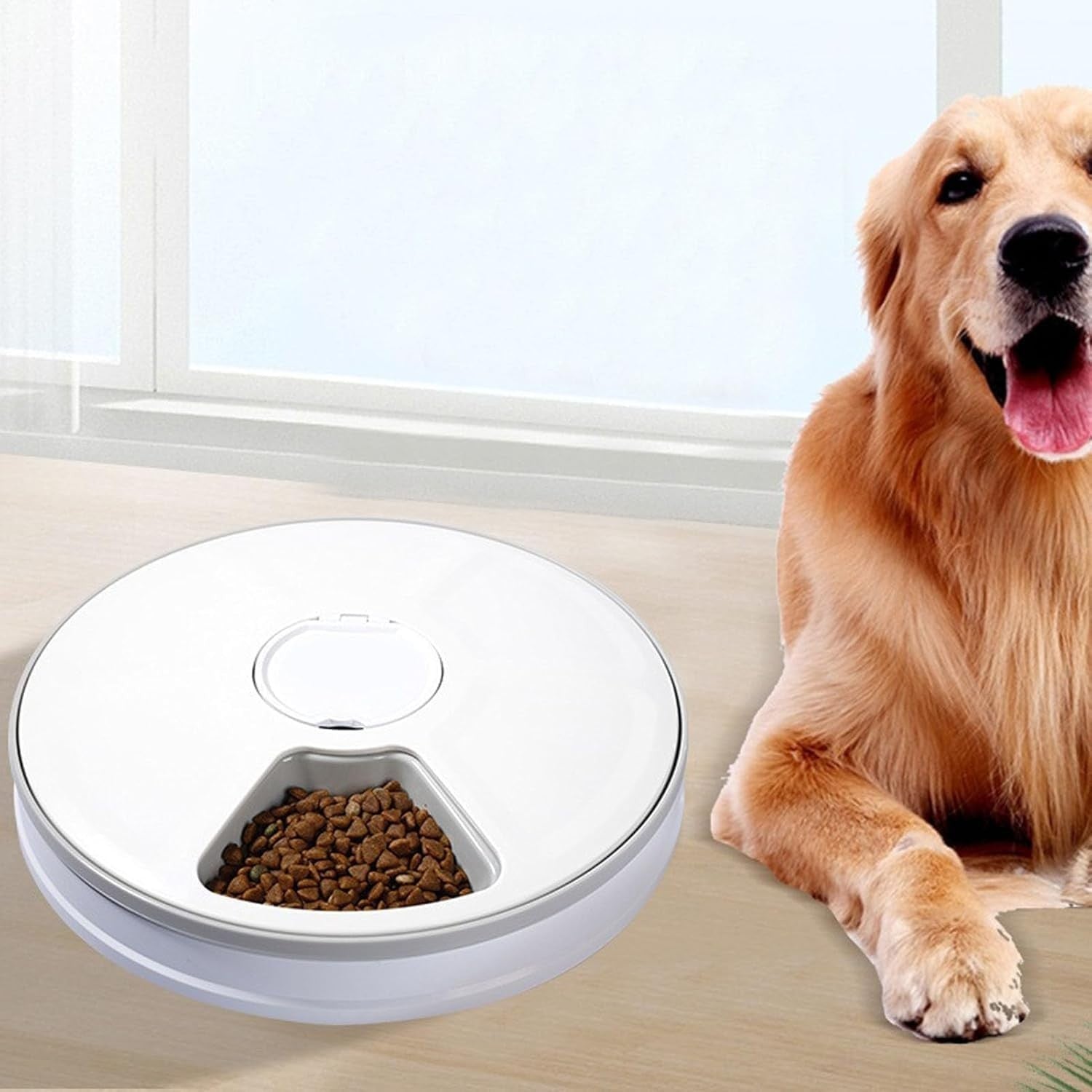 Automatic Pet Feeder 6 Meal Timer Food Dispenser Wet Dry Cat Dog Bowl