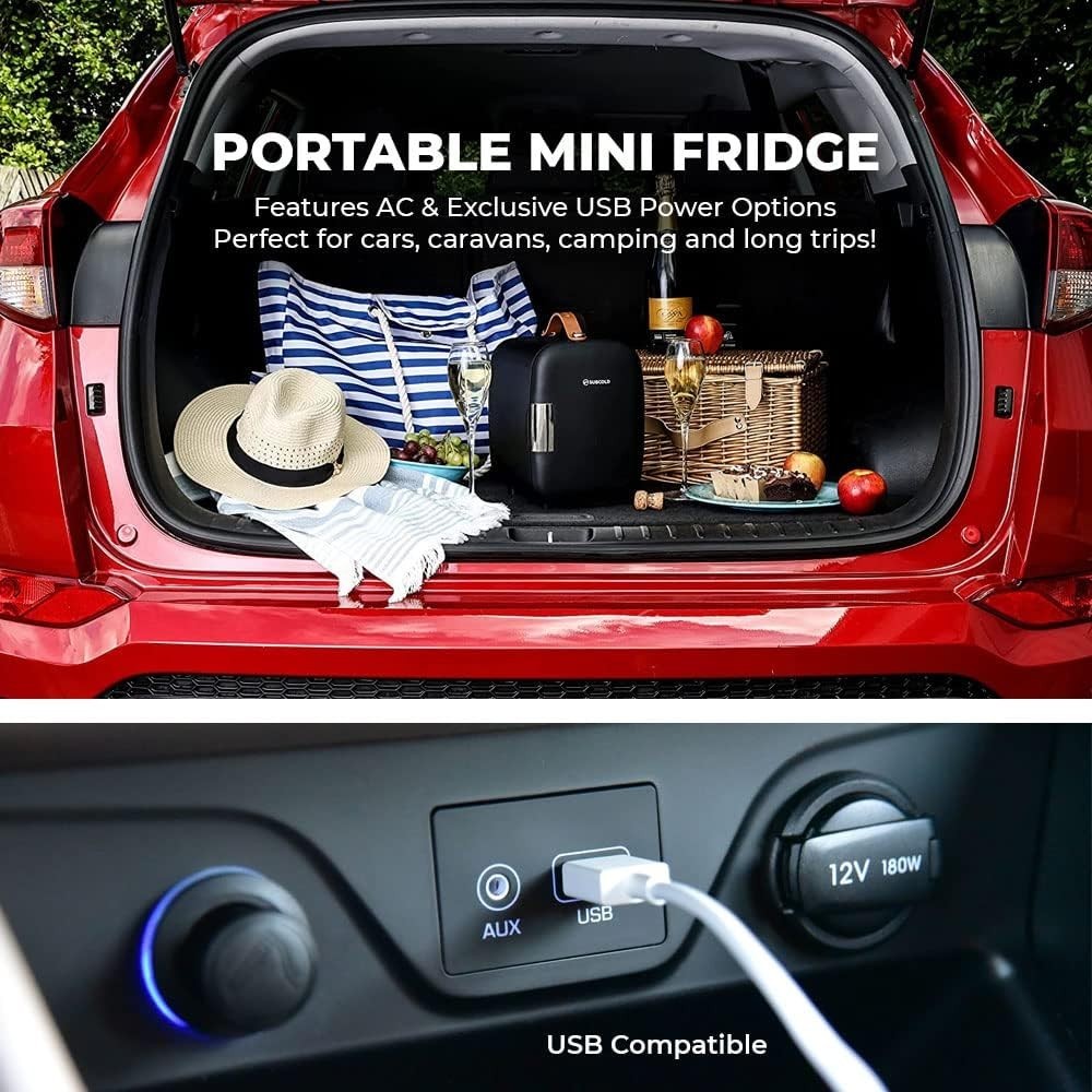 Portable 4L Mini Fridge Small Cooler for Office Bedroom Car Travel Black