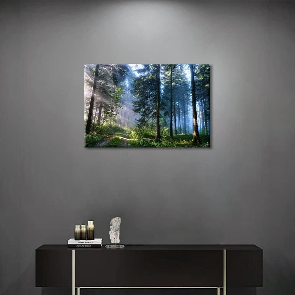 Green Forest Sunrise Canvas Wall Art 24x36in Nature