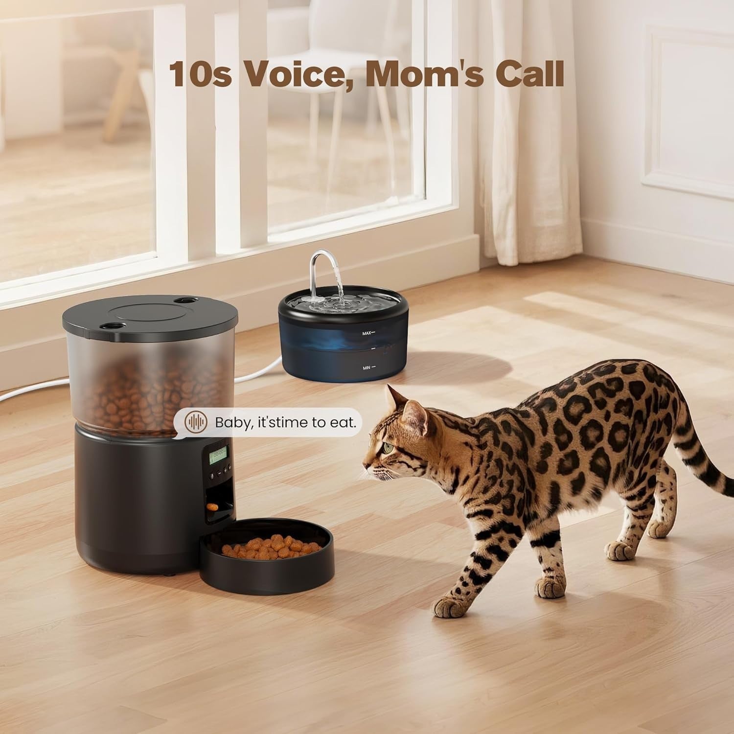 Automatic Cat Feeder Water Fountain Set 3L Food Dispenser 6 Meal Timer