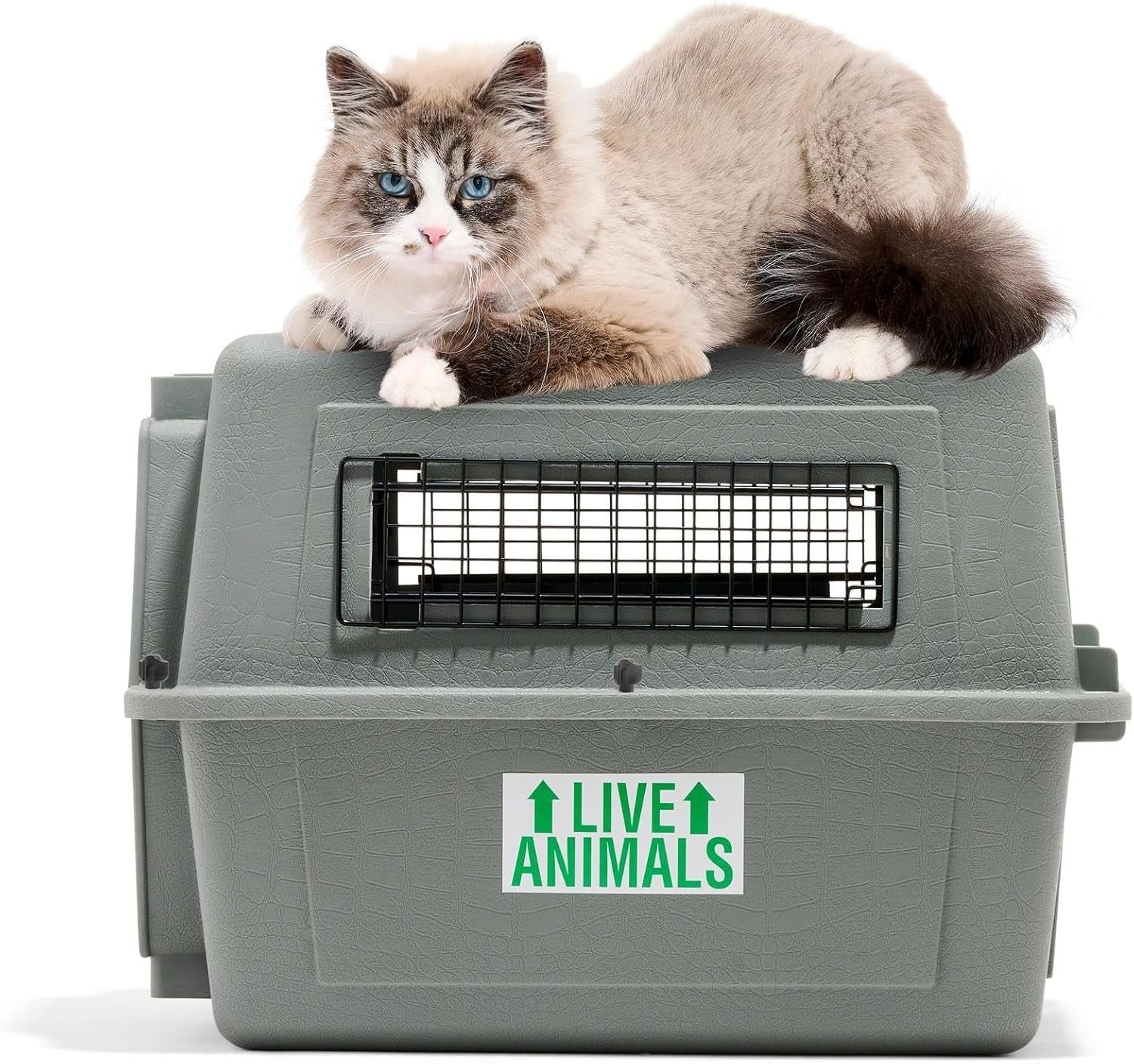 Hard Plastic Pet Carrier with Secure Doors for Safe Travel, Grey