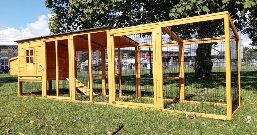12.5FT XXL Chicken Coop Run Welded Wire Hen House 3mm