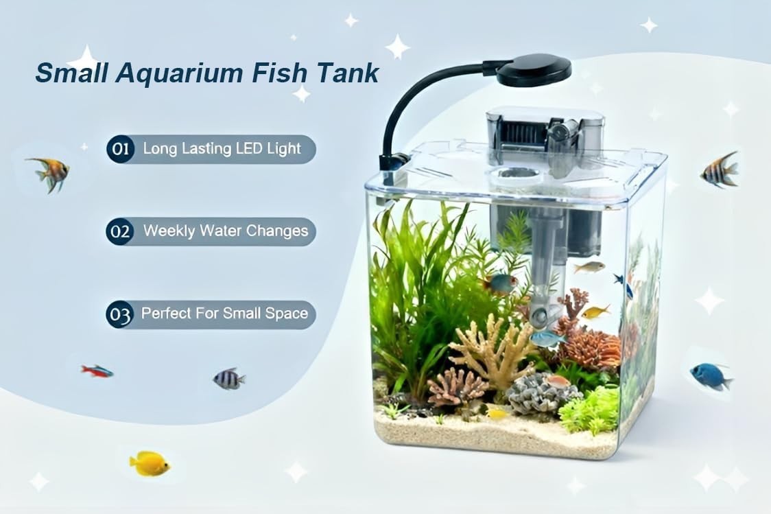 13L Mini Fish Tank Starter Kit with LED Light & USB Filter – Betta Aquarium