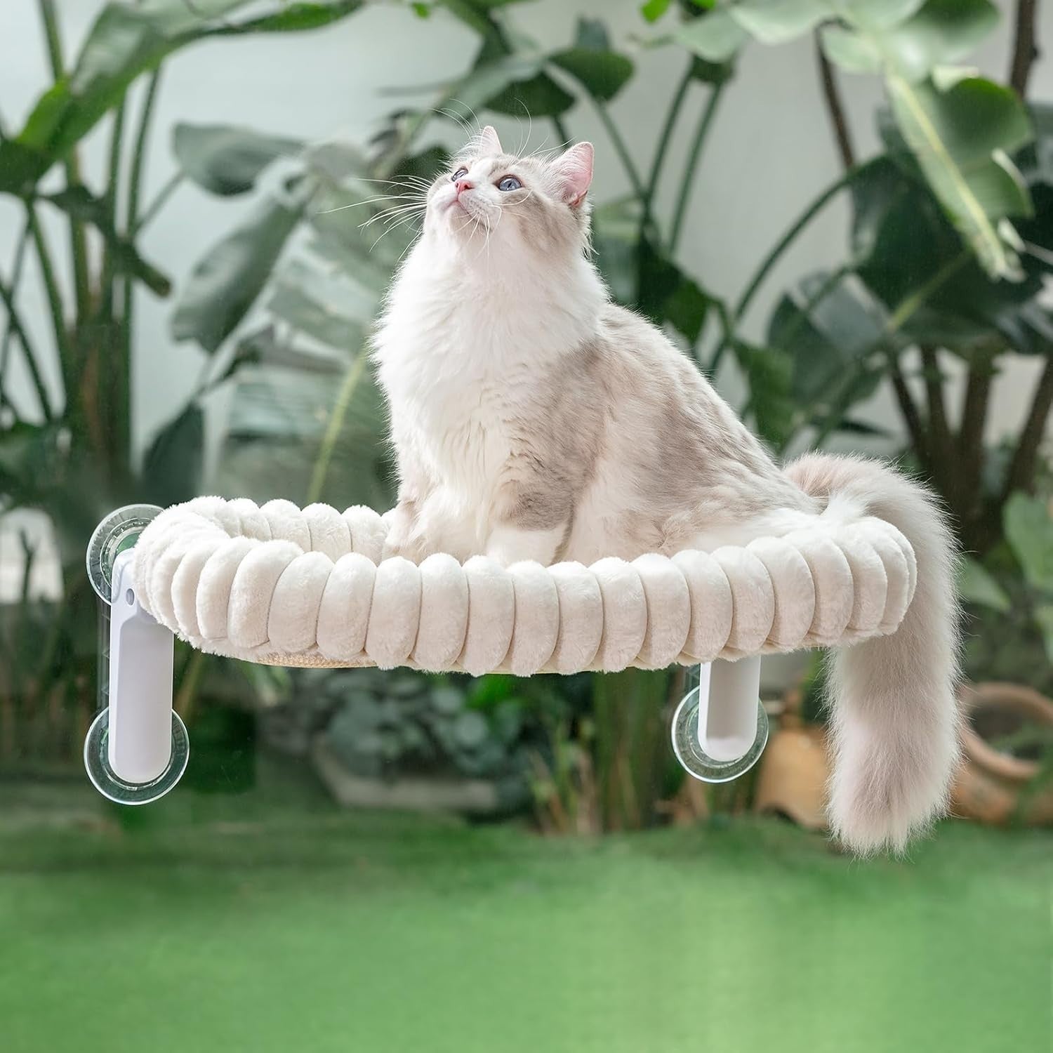 Cat Window Perch Bed Foldable Suction Cup Hammock Washable Cushion