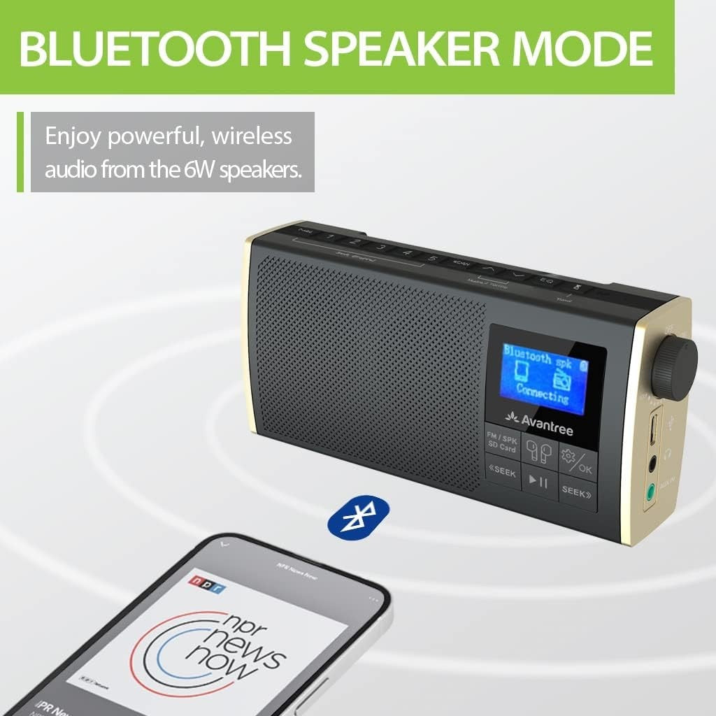 Portable FM Radio Bluetooth Speaker SD Player 11hr Rechargeable