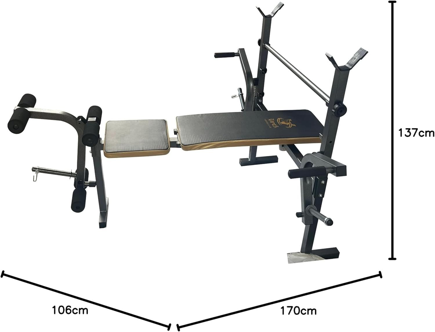 Foldable Multi-Angle Workout Bench for Sit Ups & Weight Training Home Gym