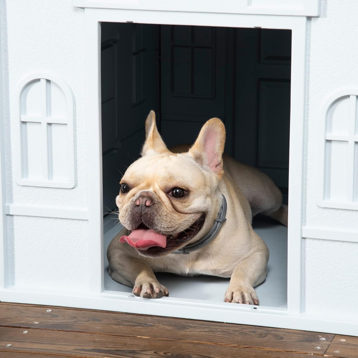 Blue Outdoor Dog House for Medium Dogs | Weatherproof Plastic Kennel 76x65x63cm