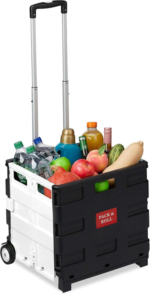 Foldable Shopping Trolley Box 35kg Capacity Telescopic Handle Rolling Cart