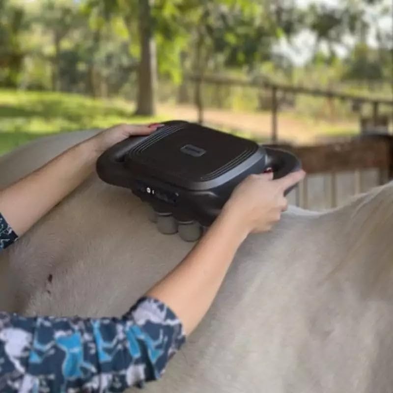 Horse Massage Gun 8 Heads Deep Tissue Recovery Red Light Heat Therapy