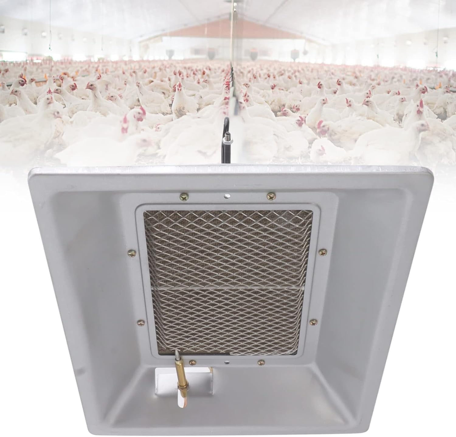 Chicken Gas Heater Infrared Ceramic Brooder 15 Birds