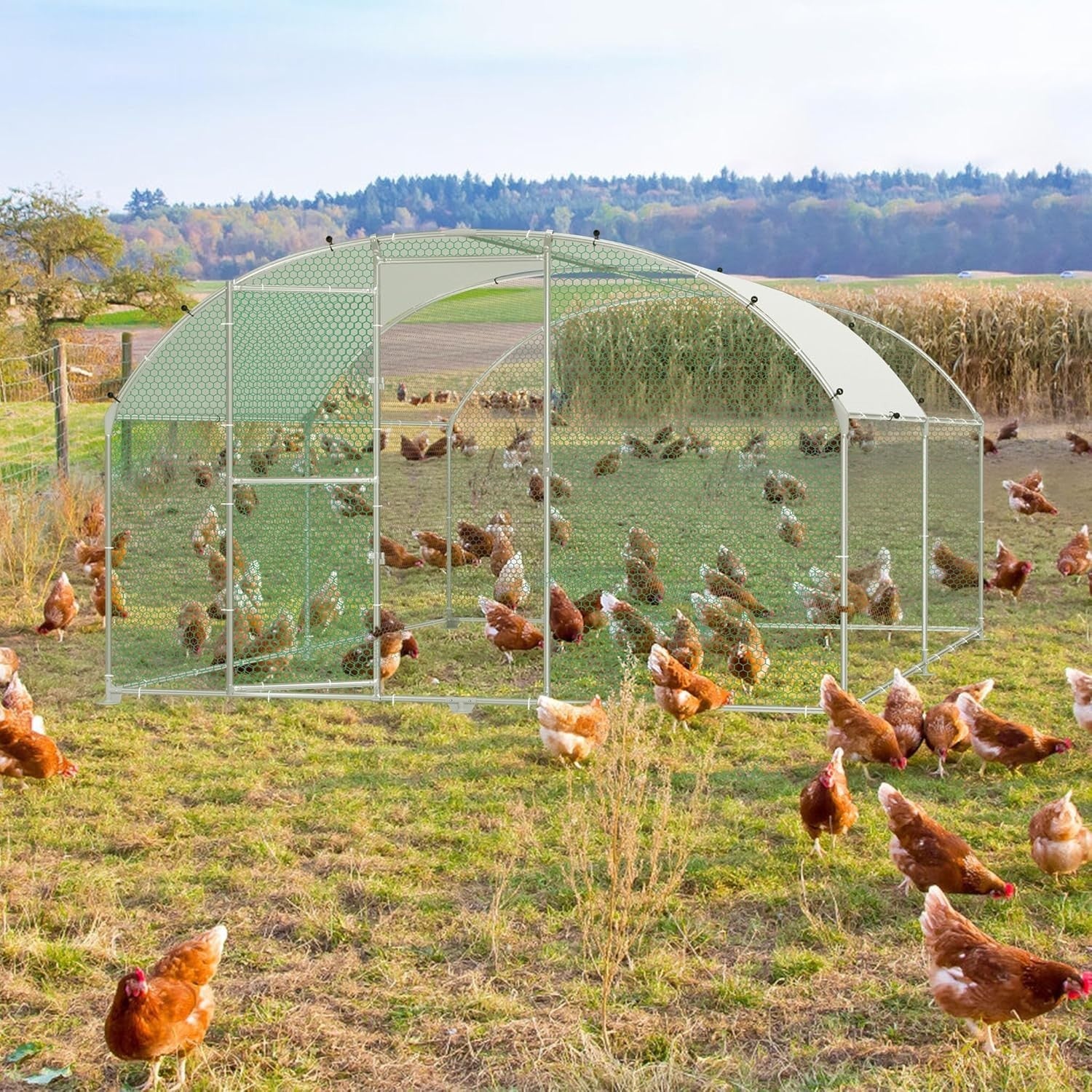 Extra Large Walk In Chicken Run Galvanised Steel Enclosure 4x3x1.85m