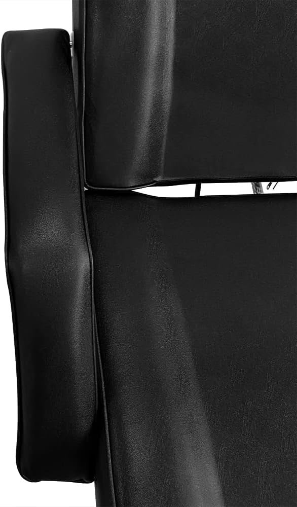 Reclining Massage Bed 3-Section Adjustable Beauty Salon Tattoo Spa Couch Black