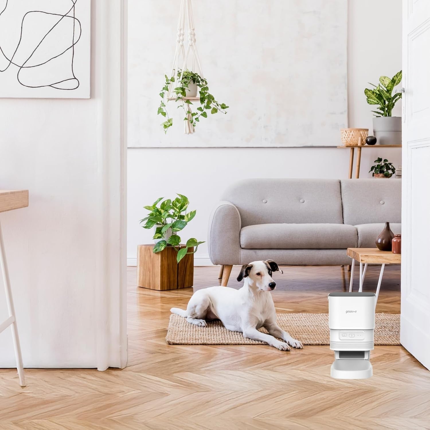 Smart WiFi Pet Feeder 4L Auto Cat Dog Food Dispenser App Control