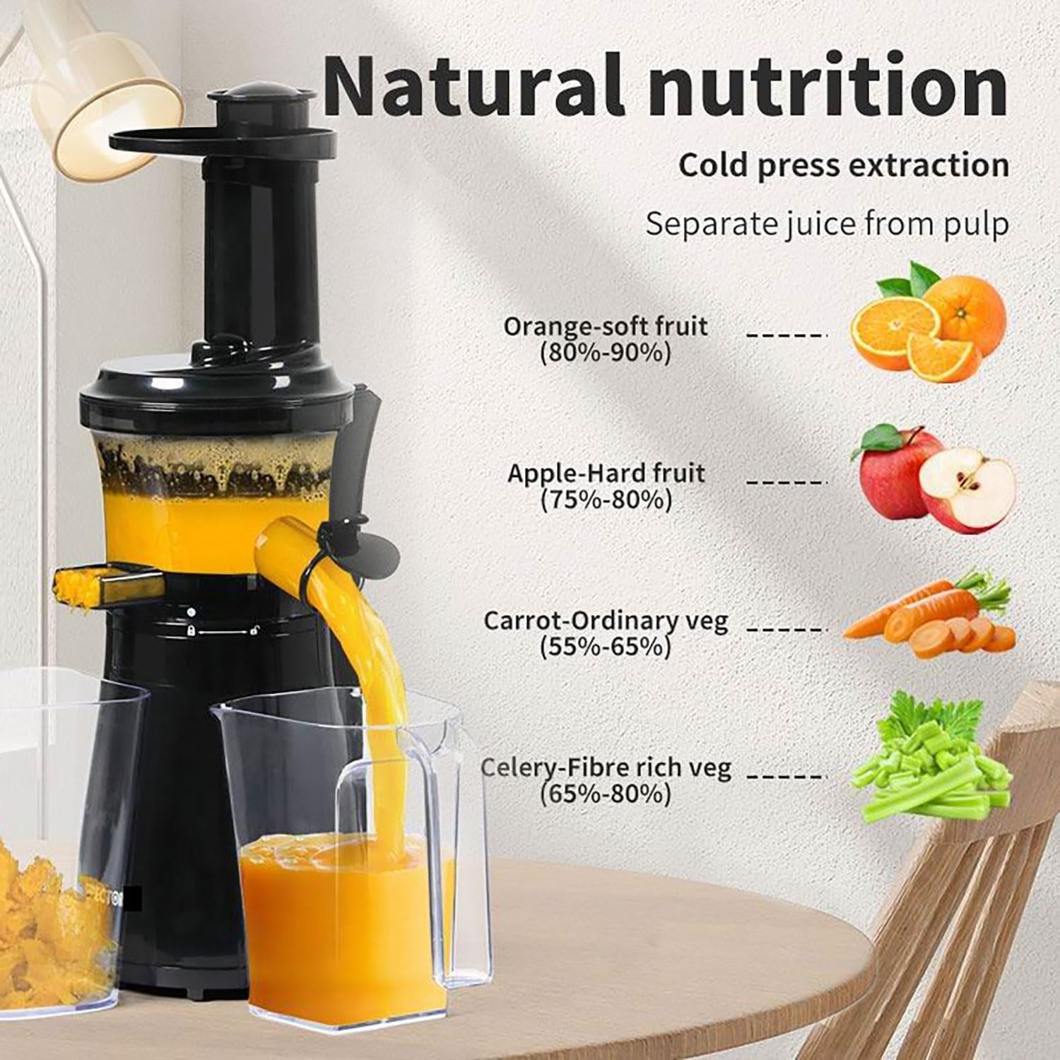 Slow Masticating Juicer Cold Press Quiet Motor Reverse Easy Clean