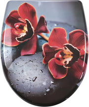 Quick Release Soft Close Toilet Seat Top Fixing Colourful Patterns 45x37cm