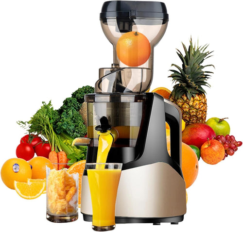 Cold Press Juicer 83mm Wide Feed Chute Slow Masticating Quiet 200W Silver