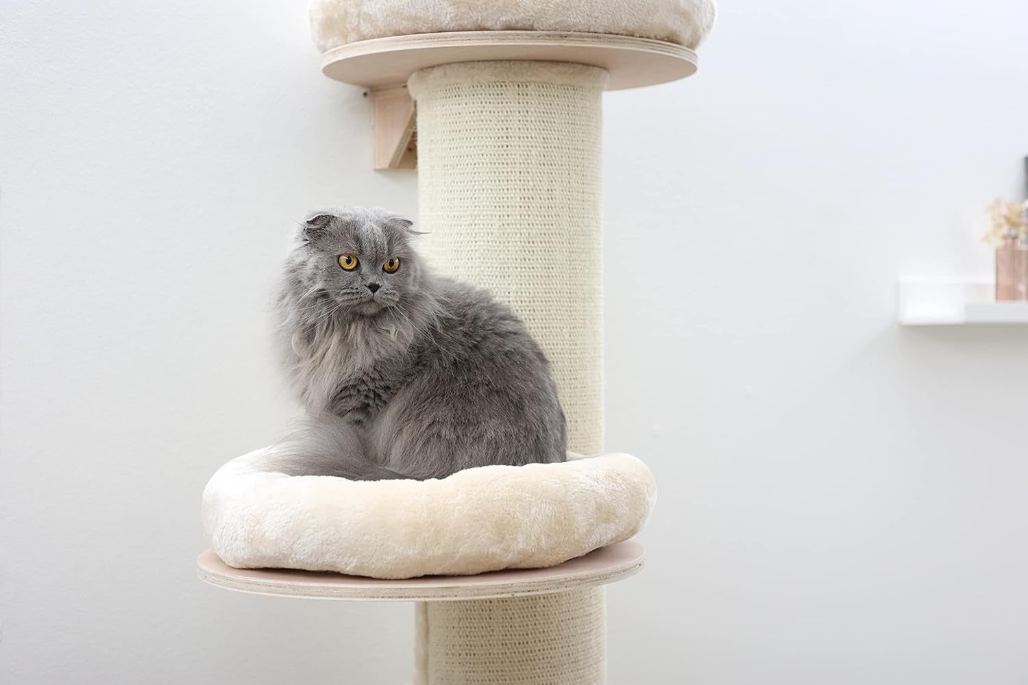 Tall Cat Tree Tower 187cm with Cushioned Perches Heavy Duty Scratching Post