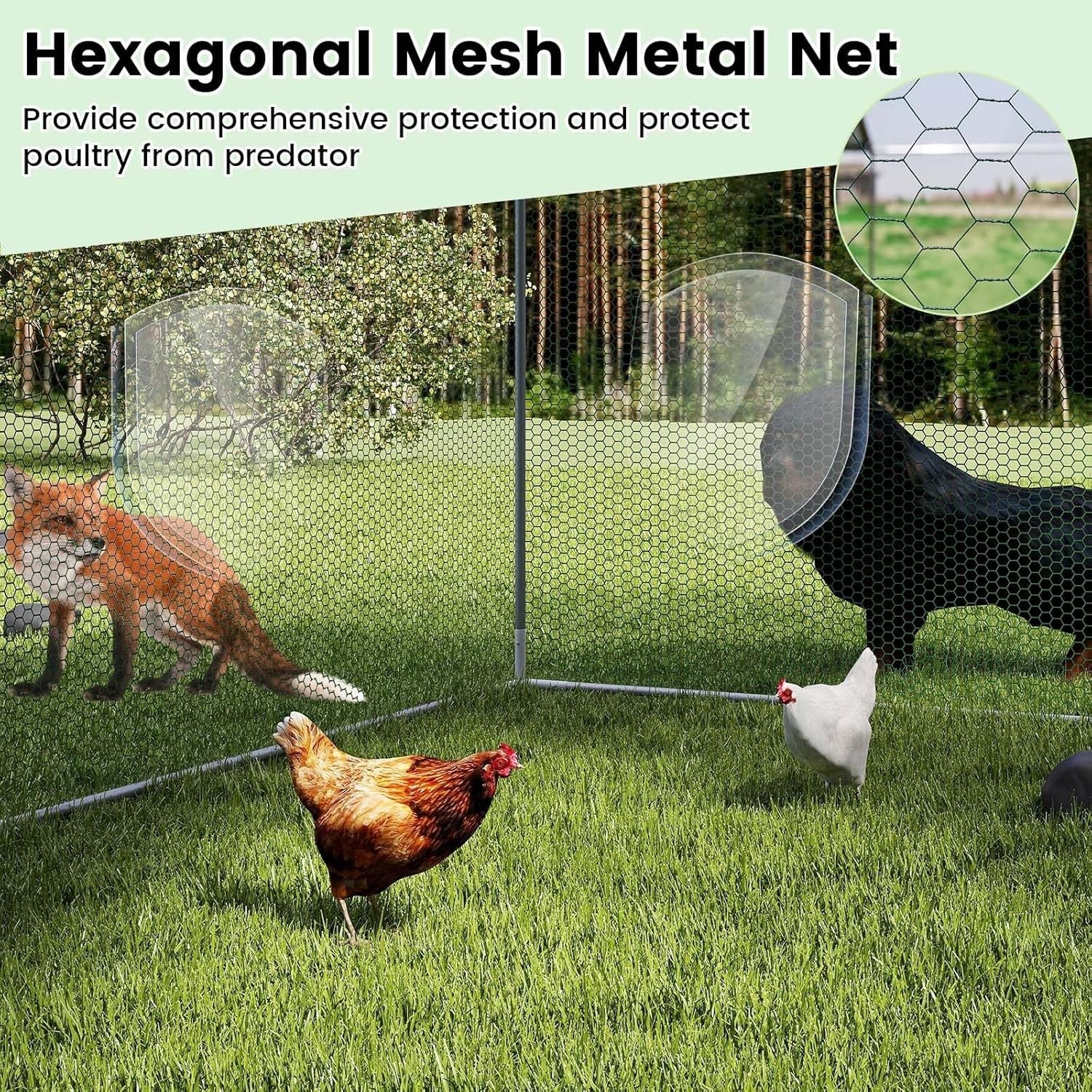 Walk In Poultry Run Galvanised Steel Enclosure with Waterproof Roof