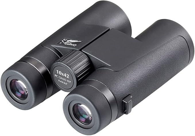 10x42 Compact Binoculars HD Waterproof BAK4 Prism Wide View Outdoor Travel
