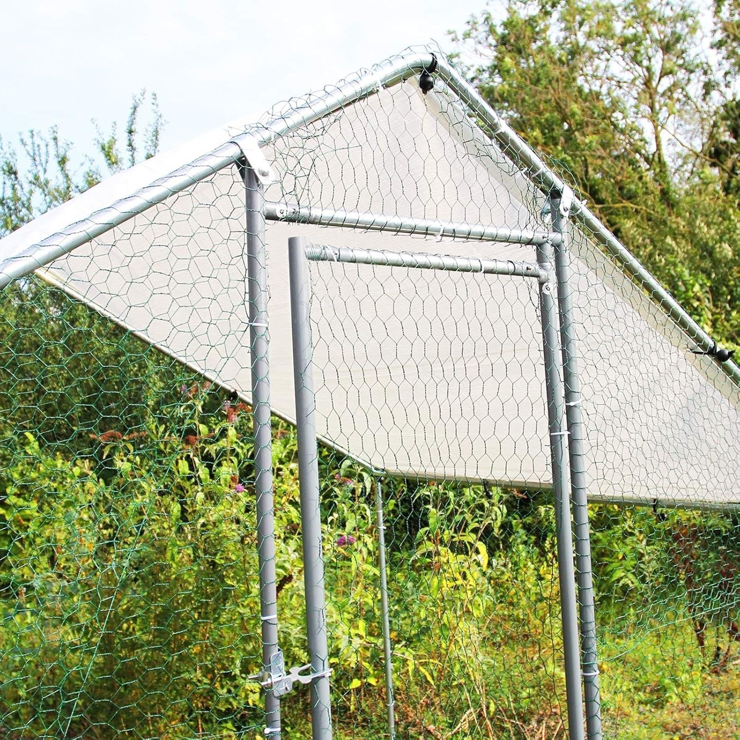 Walk In Chicken Run 6x4x2m Galvanised Steel Coop Pen