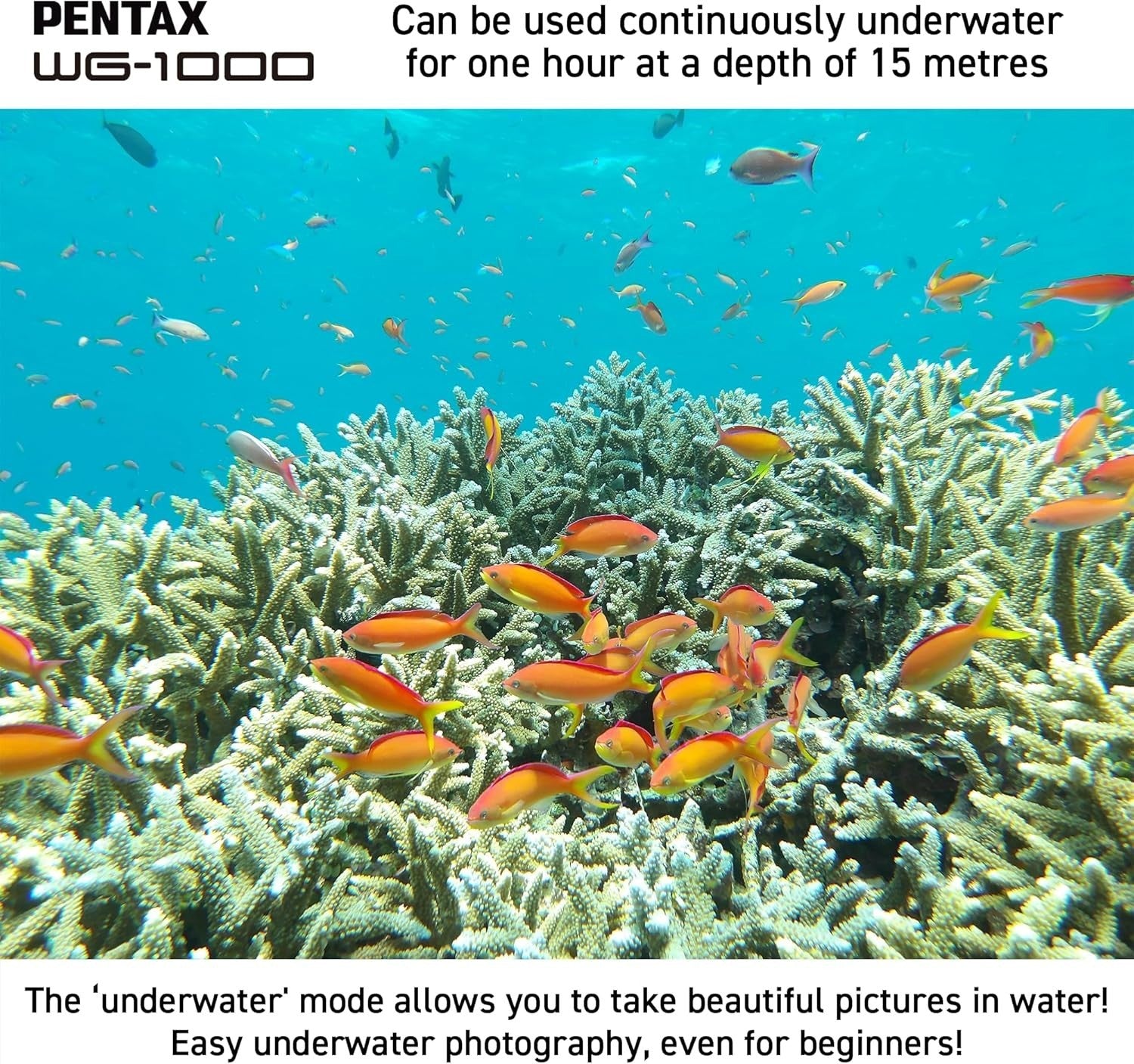Waterproof Digital Camera 15M Underwater Shockproof 4X Zoom Grey