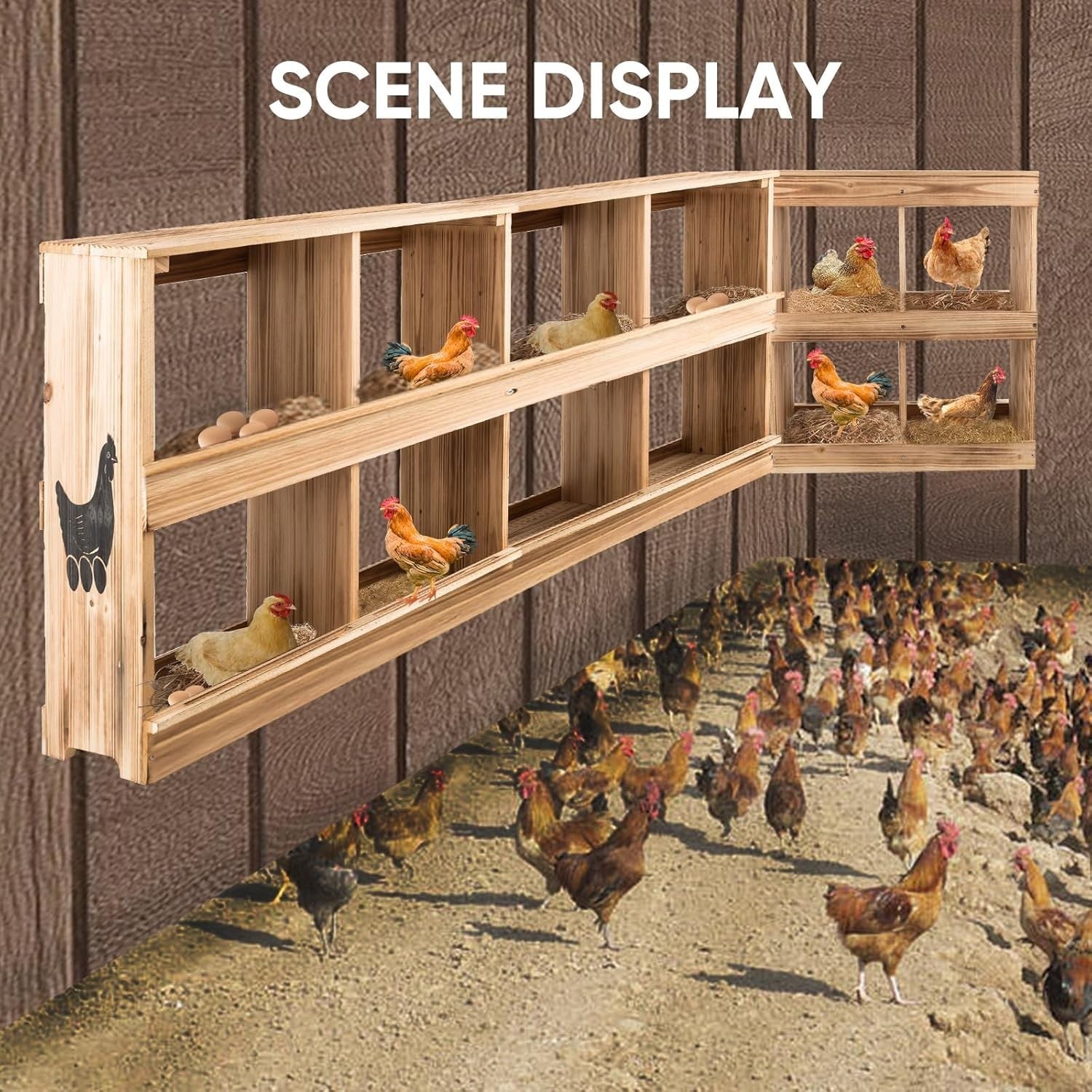 Wooden Chicken Nesting Box 4 Compartment Wall Mount