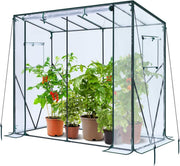 Walk-In Greenhouse with Mesh Windows | Transparent PVC Cover | 3 Tier 6 Shelf