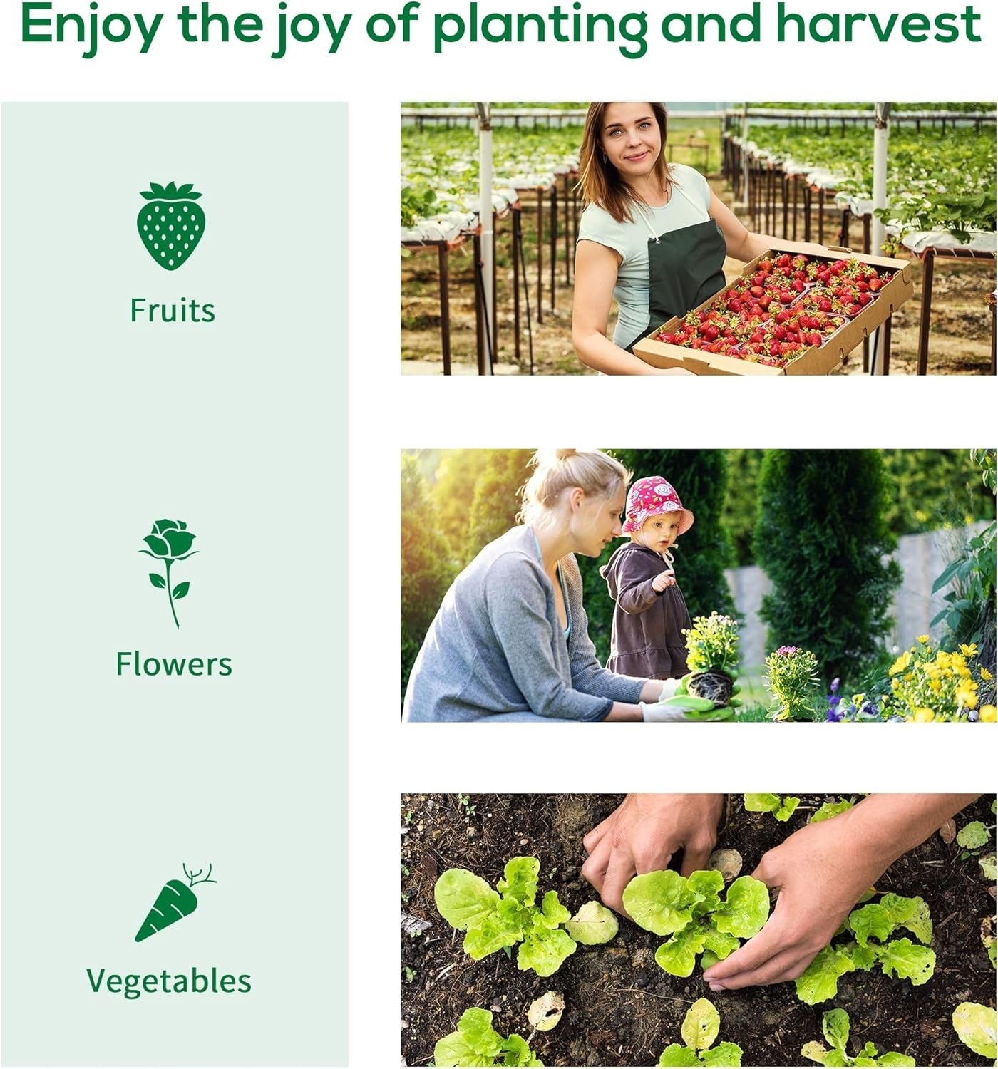 Heavy Duty Polytunnel Greenhouse | Reinforced PE Cover | Galvanised Steel Frame