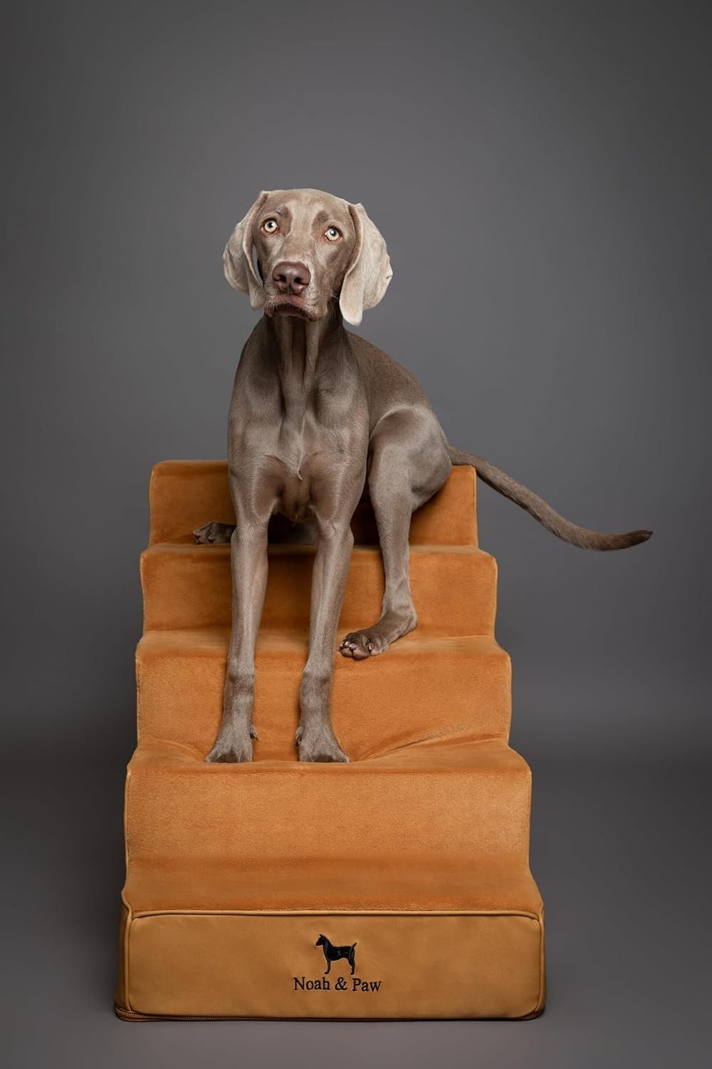 5‑Step Extra‑Wide Foam Dog & Cat Stairs 35D  Ramp Bed Sofa