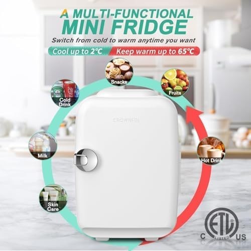 Mini Fridge 4L Portable Cooler & Warmer AC/DC Compact Quiet White
