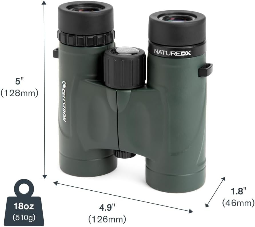 10x32 Waterproof Binoculars HD Compact Birdwatching Travel Outdoor Viewing