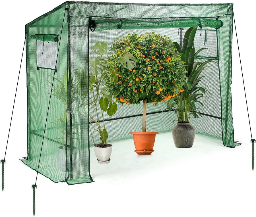 Walk-In Greenhouse 200x78x150cm Weatherproof PE Cover with Roll-Up Doors Windows