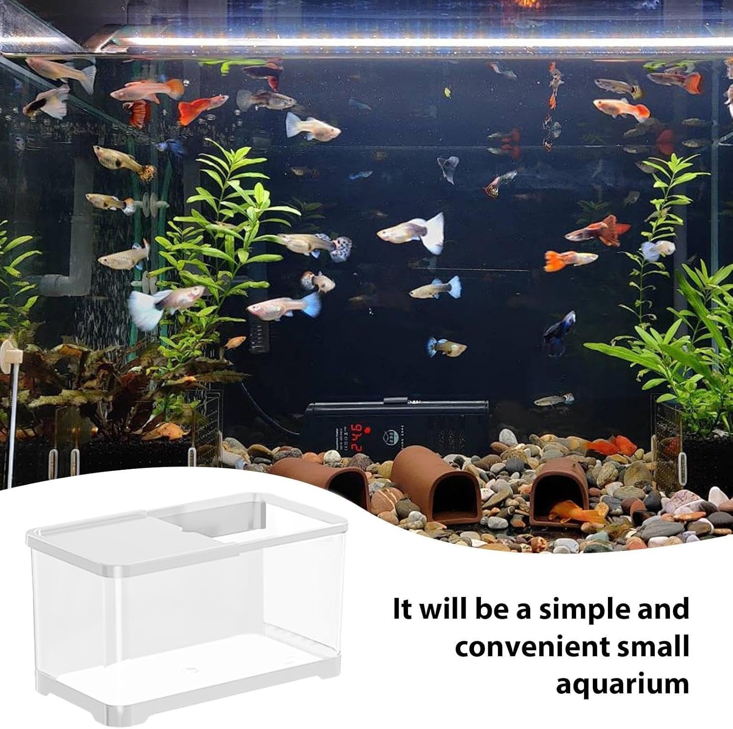 Small Fish Tank Starter Kit | Decorative Aquarium with Basket for Guppy, Shrimp