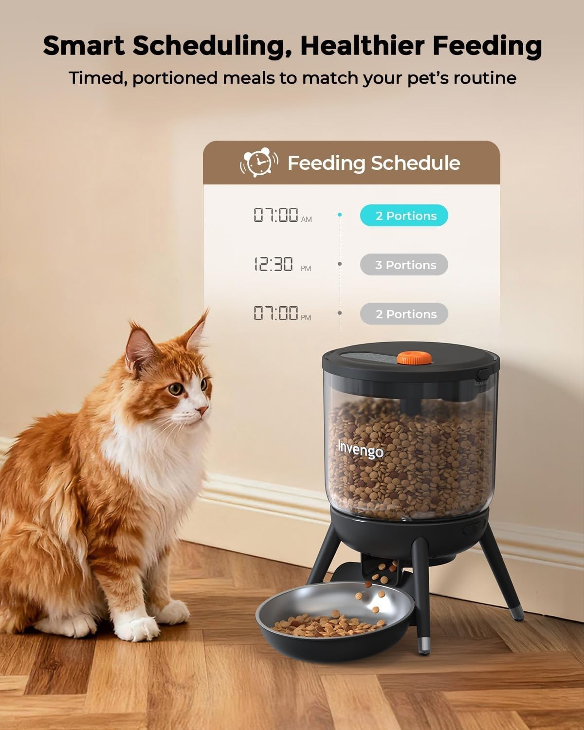 Timed Automatic Pet Feeder 3L Food Dispenser Dual Power Control