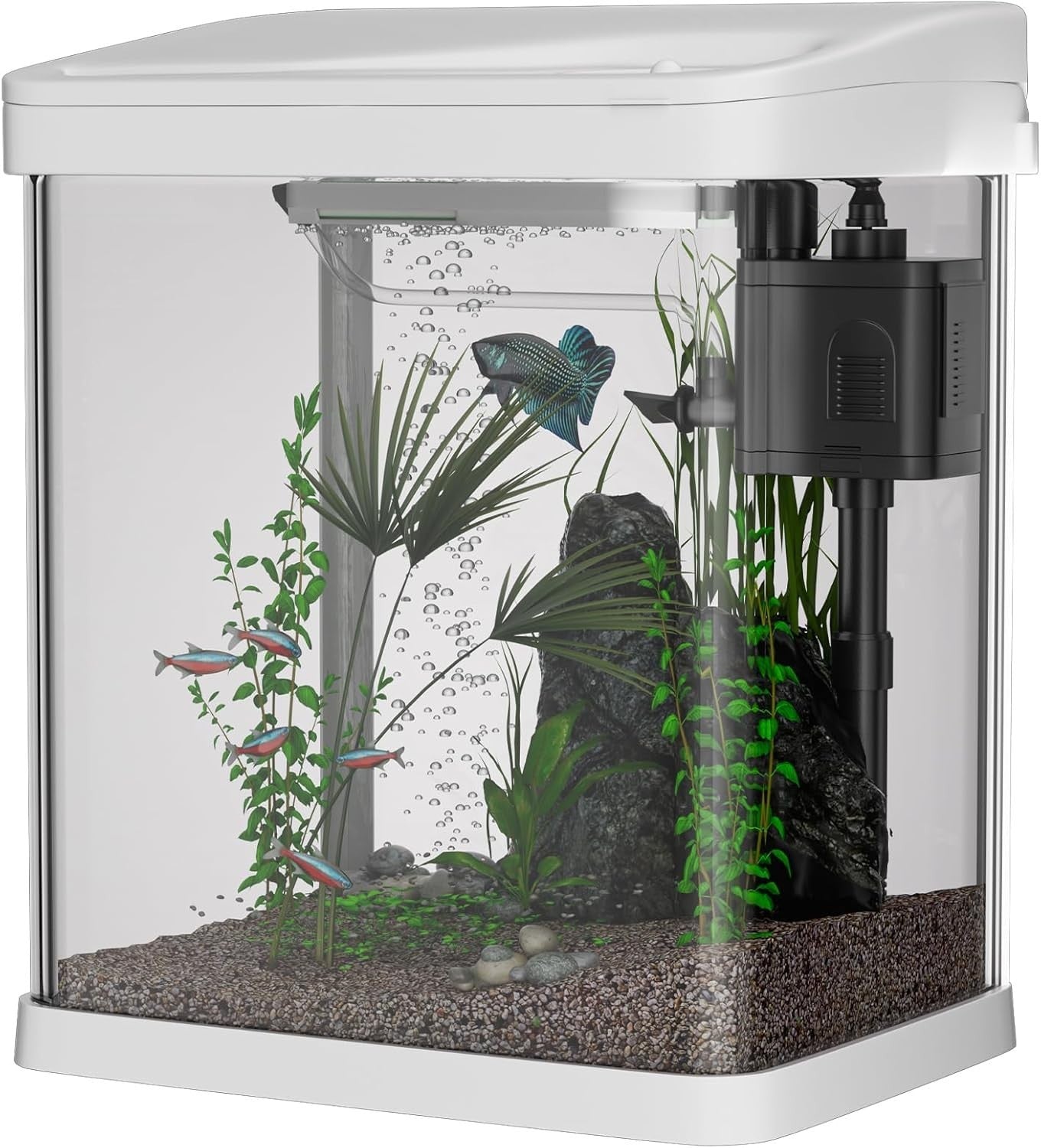 9L Glass Fish Tank with Filter, LED Light & Water Pump – Mini Aquarium