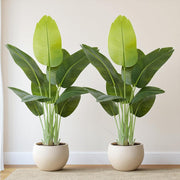Set of 2 Bird of Paradise Plants 120cm Lifelike Indoor Potted Tropical Banana