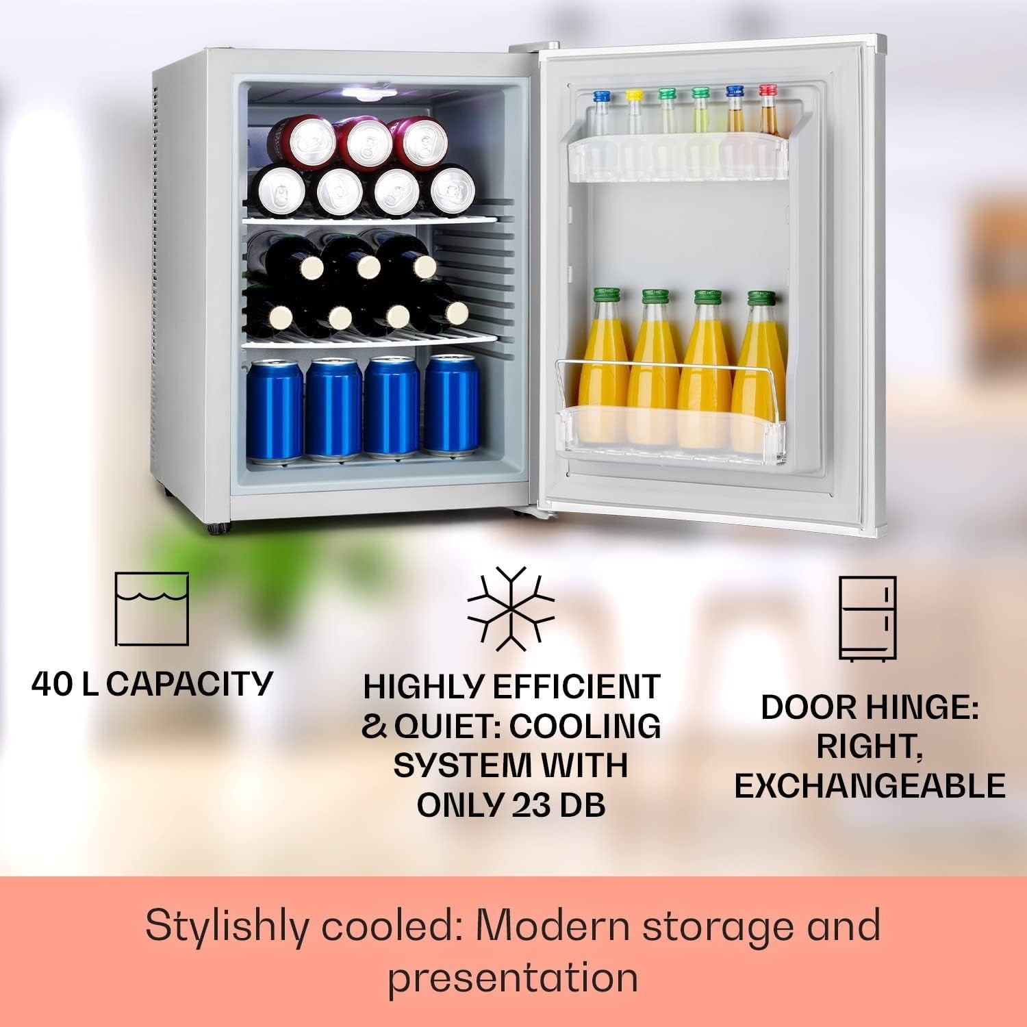 40L Mini Fridge Silver Portable Cooler and Drinks Fridge Adjustable Shelves