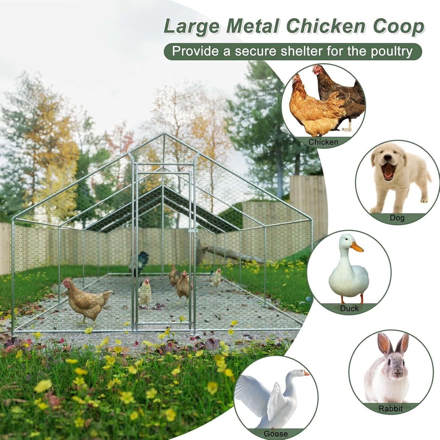 Extra Large Walk In Chicken Run Outdoor Metal Pet Enclosure 8x3x2m