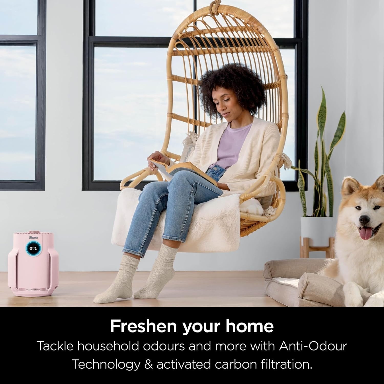 Compact HEPA Air Purifier 23m² Quiet Auto Sensor 5-Year Filter Allergy