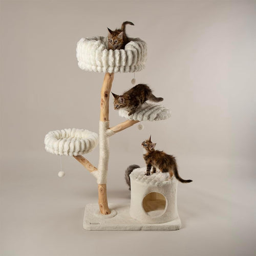 Large Luxury Cat Tree Scratching Tower with Natural Wood Perches & Condo
